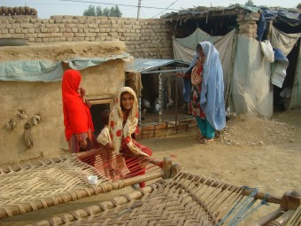 Pakistan: Wiederaufbau von ökonomischen Grundlagen